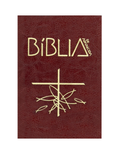 Bíblia de Aparecida - Letra Grande - Marrom
