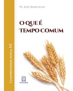 O que é tempo comum